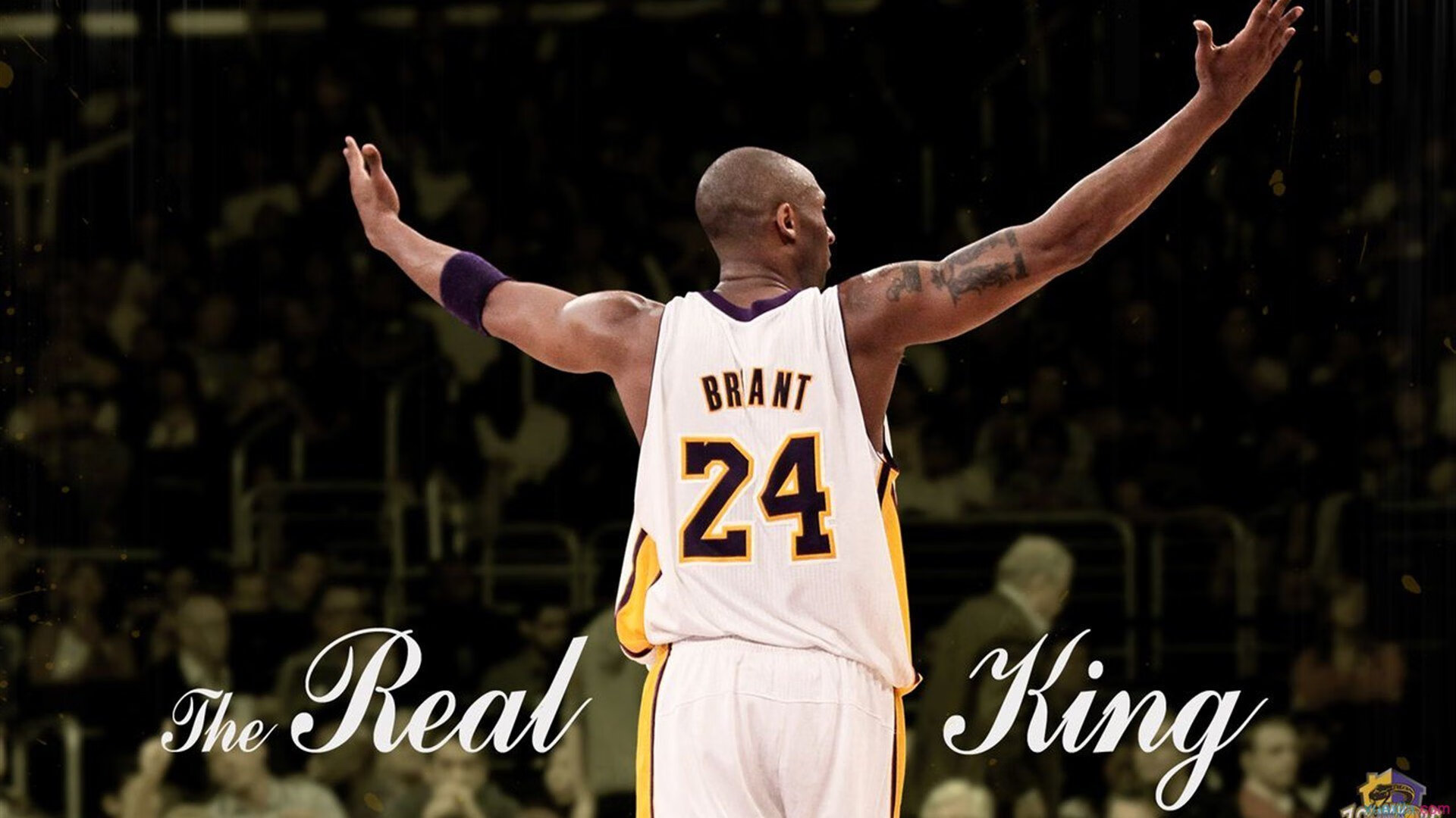 洛杉矶FC签约新外援，增强进攻实力，洛杉矶fc球队